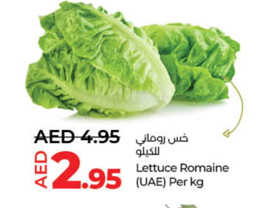 Lettuce available at Lulu Hypermarket in UAE - Sharjah / Ajman