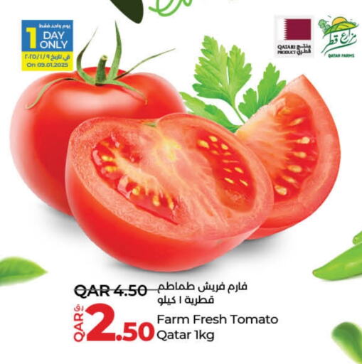 Tomato from Qatar available at LuLu Hypermarket in Qatar - Al Daayen