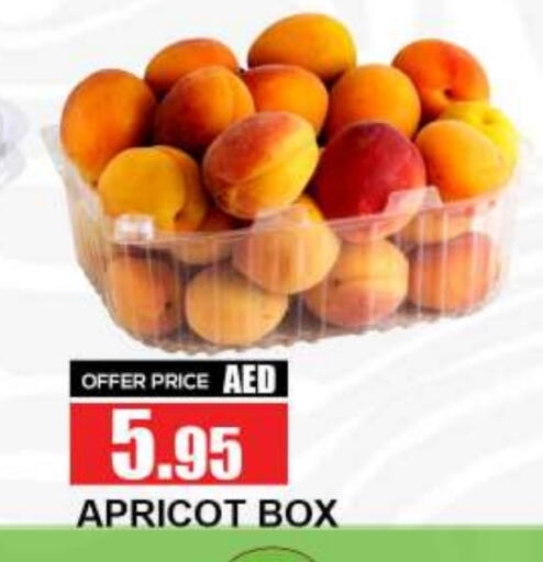 Apricot available at Quick Supermarket in UAE - Dubai