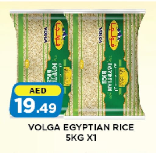 VOLGA Calrose Rice available at Azhar Al Madina Hypermarket in UAE - Abu Dhabi