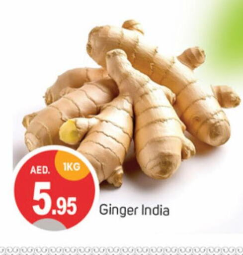 Ginger from India available at TALAL MARKET in UAE - Sharjah / Ajman