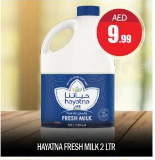 HAYATNA Fresh Milk available at BIGmart in UAE - Abu Dhabi