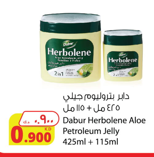 DABUR Petroleum Jelly available at Agricultural Food Products Co. in Kuwait - Jahra Governorate