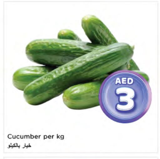 Cucumber available at Nesto Hypermarket in UAE - Ras al Khaimah