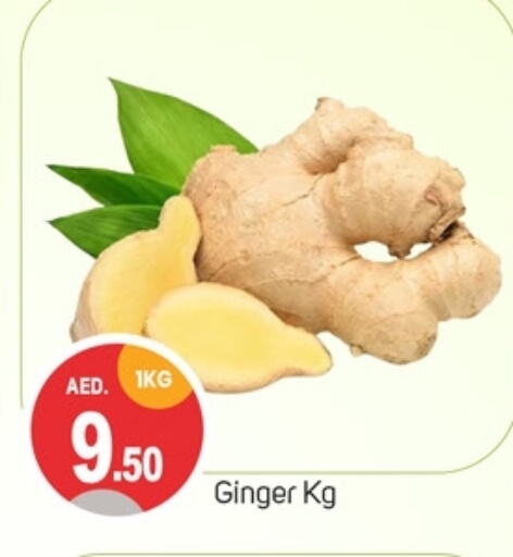 Ginger available at TALAL MARKET in UAE - Dubai