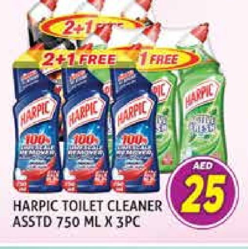 Toilet / Drain Cleaner available at Palm Centre LLC in UAE - Sharjah / Ajman