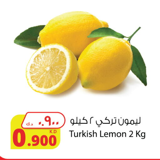 Lemon from Turkey available at Agricultural Food Products Co. in Kuwait - Jahra Governorate