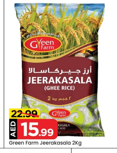 Jeerakasala Rice available at Mark & Save in UAE - Abu Dhabi