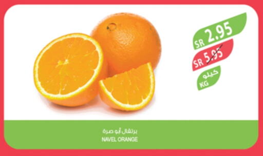 Orange available at Farm  in KSA, Saudi Arabia, Saudi - Saihat