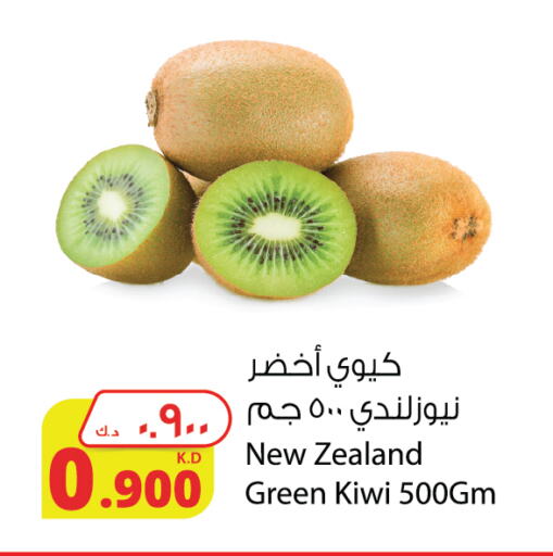 كيوي from New Zealand available at شركة المنتجات الزراعية الغذائية in الكويت - مدينة الكويت