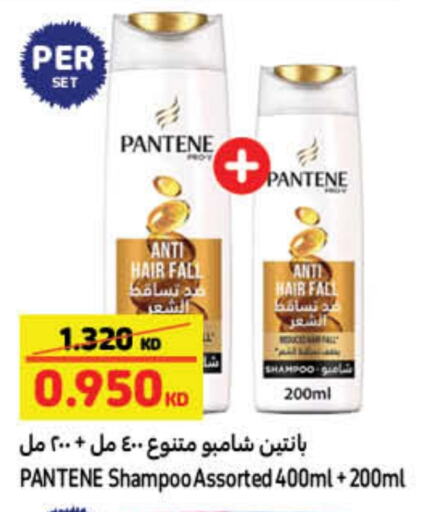 Shampoo / Conditioner available at Carrefour in Kuwait - Kuwait City