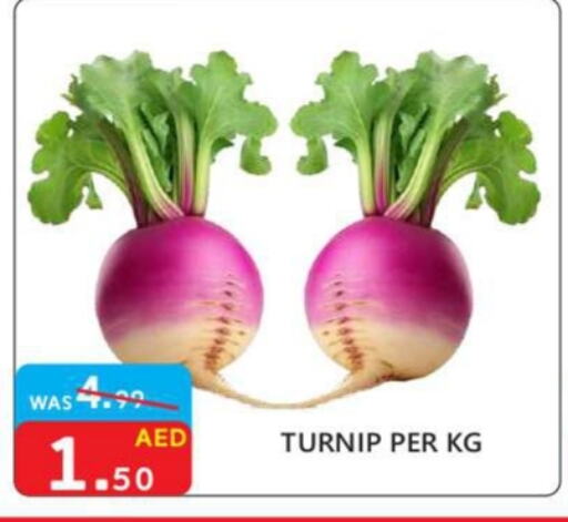 Turnip available at United Hypermarket in UAE - Dubai