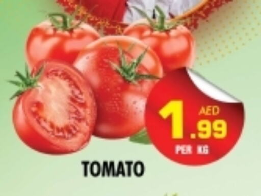 Tomato available at NIGHT TO NIGHT DEPARTMENT STORE in UAE - Sharjah / Ajman