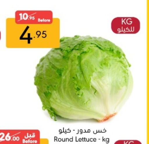 Lettuce available at مانويل ماركت in مملكة العربية السعودية, السعودية, سعودية - جدة