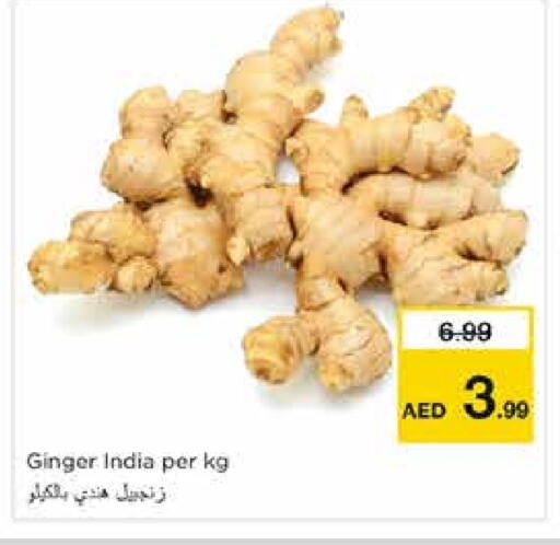 زنجبيل from India available at نستو هايبرماركت in الإمارات العربية المتحدة , الامارات - الشارقة / عجمان