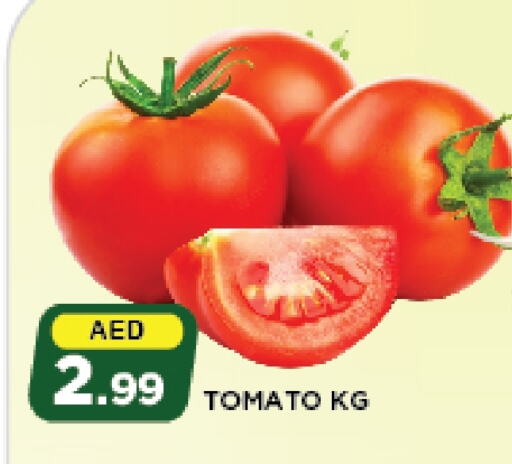 Tomato available at Azhar Al Madina Hypermarket in UAE - Abu Dhabi