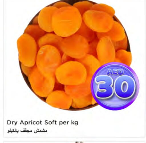 Apricot available at Nesto Hypermarket in UAE - Ras al Khaimah