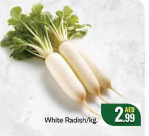 Radish available at FOODZONE SUPERMARKET in UAE - Al Ain