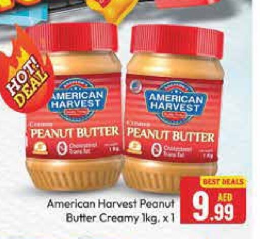 AMERICAN HARVEST Peanut Butter available at Azhar Al Madina Hypermarket in UAE - Abu Dhabi