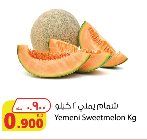 Sweet melon from Yemen available at Agricultural Food Products Co. in Kuwait - Ahmadi Governorate