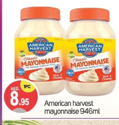 AMERICAN HARVEST Mayonnaise available at TALAL MARKET in UAE - Dubai