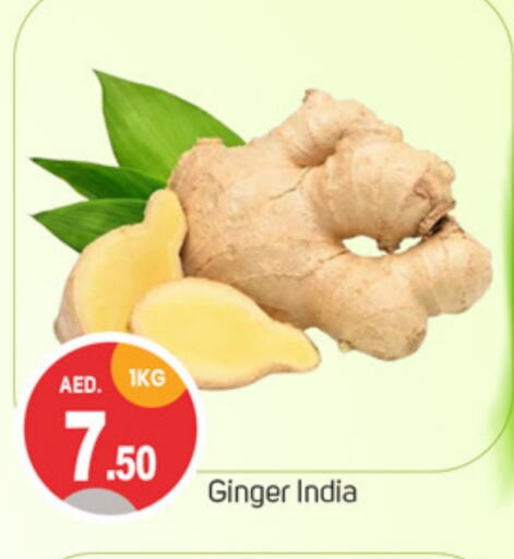 Ginger from India available at TALAL MARKET in UAE - Sharjah / Ajman