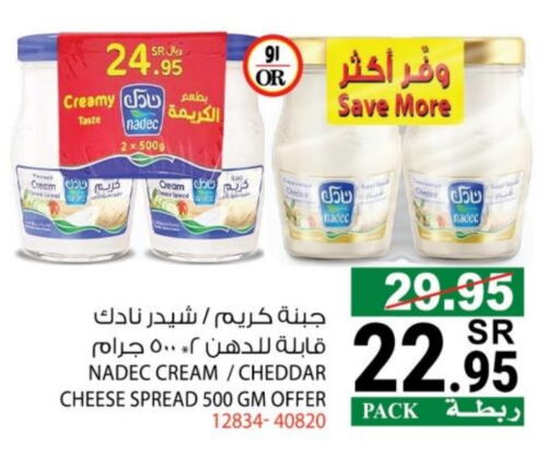 NADEC Cheddar Cheese available at House Care in KSA, Saudi Arabia, Saudi - Mecca