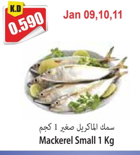 available at 4 SaveMart in Kuwait - Kuwait City