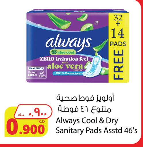 ALWAYS available at Agricultural Food Products Co. in Kuwait - Kuwait City