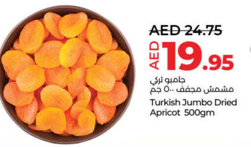 Apricot available at Lulu Hypermarket in UAE - Sharjah / Ajman