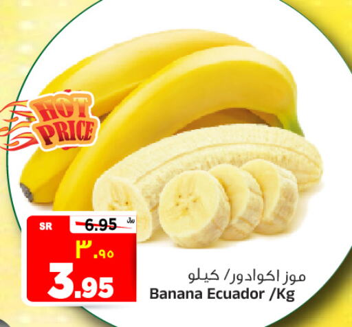 Banana from Ecuador available at Al Madina Hypermarket in KSA, Saudi Arabia, Saudi - Riyadh