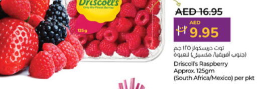 Berries from South Africa Mexico available at Lulu Hypermarket in UAE - Al Ain