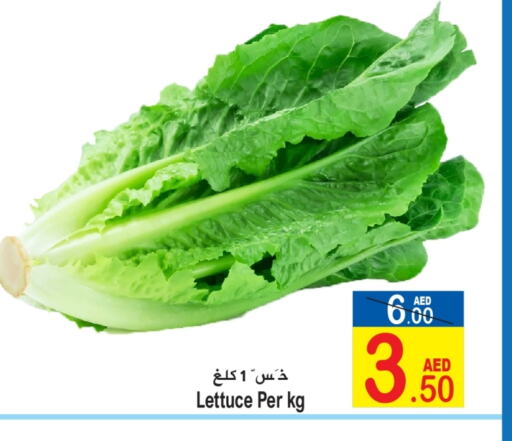 Lettuce available at Sun and Sand Hypermarket in UAE - Ras al Khaimah