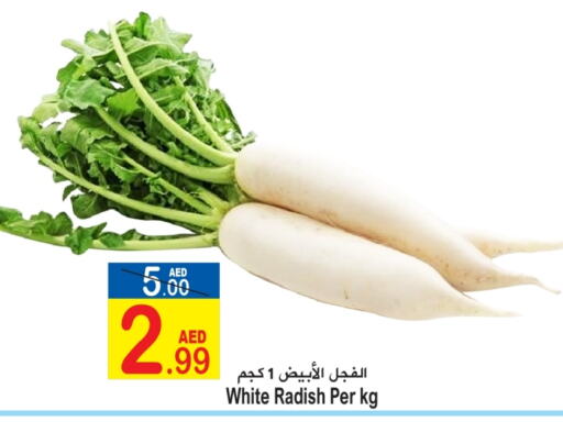 Radish available at Sun and Sand Hypermarket in UAE - Ras al Khaimah