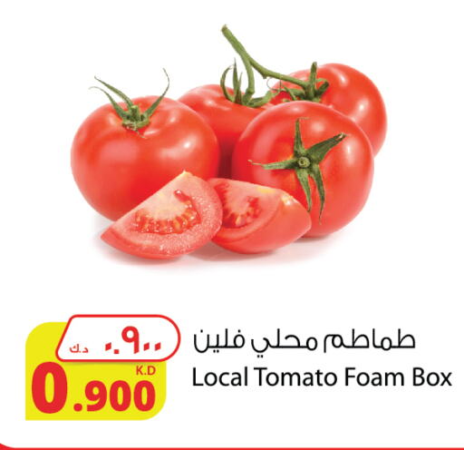 طماطم available at شركة المنتجات الزراعية الغذائية in الكويت - محافظة الجهراء