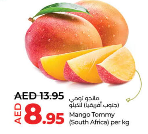 Mangoes from South Africa available at Lulu Hypermarket in UAE - Sharjah / Ajman