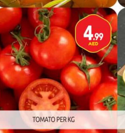 Tomato available at BIGmart in UAE - Abu Dhabi