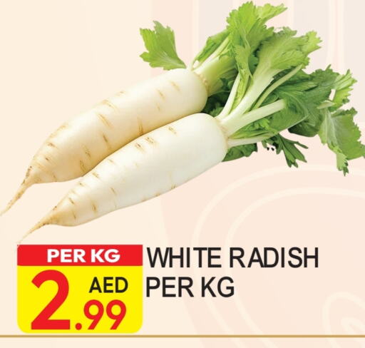 Radish available at Dream Land in UAE - Dubai