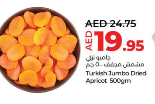 Apricot available at Lulu Hypermarket in UAE - Sharjah / Ajman