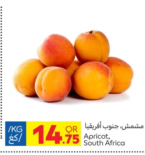 Apricot from South Africa available at كارفور in قطر - الريان