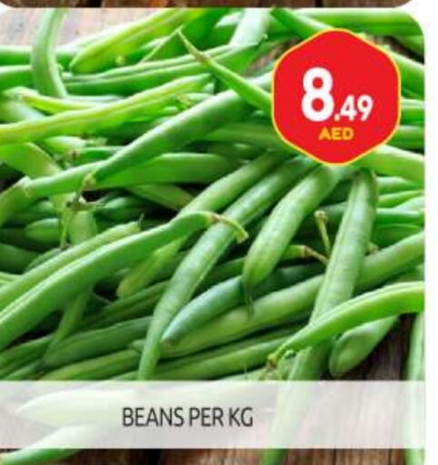 Beans available at BIGmart in UAE - Abu Dhabi