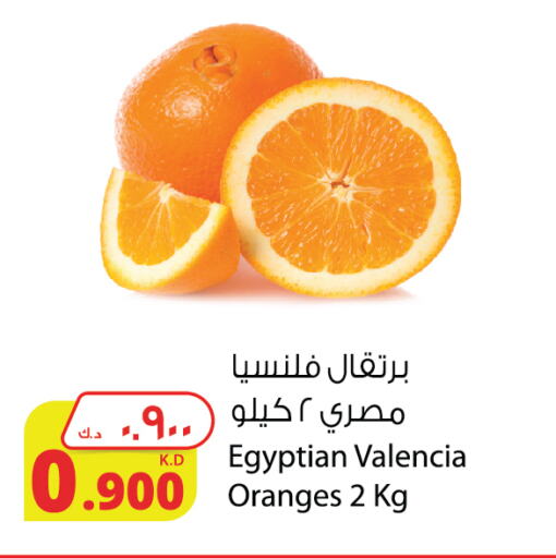 Orange from Egypt available at Agricultural Food Products Co. in Kuwait - Jahra Governorate