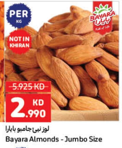 BAYARA available at Carrefour in Kuwait - Kuwait City