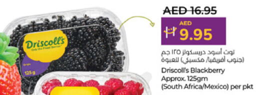 Berries from South Africa Mexico available at Lulu Hypermarket in UAE - Al Ain