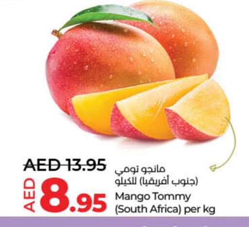 Mangoes from South Africa available at Lulu Hypermarket in UAE - Sharjah / Ajman