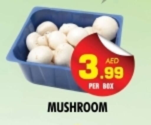 Mushroom available at NIGHT TO NIGHT DEPARTMENT STORE in UAE - Sharjah / Ajman