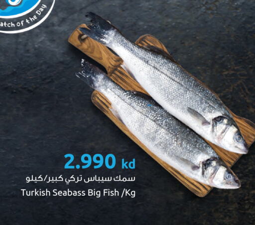 available at The Sultan Center in Kuwait - Jahra Governorate