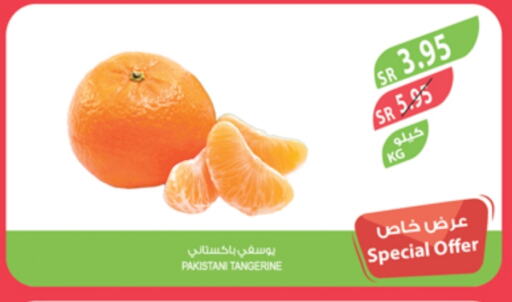 Orange from Pakistan available at Farm  in KSA, Saudi Arabia, Saudi - Saihat