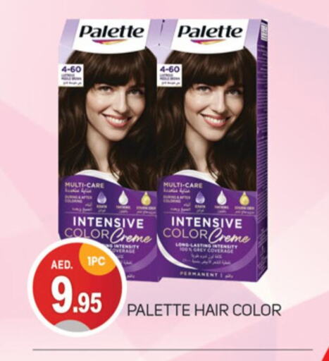 PALETTE Hair Colour available at TALAL MARKET in UAE - Dubai