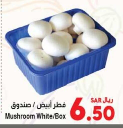 Mushroom available at Kabayan Hypermarket in KSA, Saudi Arabia, Saudi - Jeddah